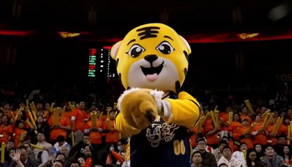 网上赌场百家乐-广东队季后赛门票价格出炉：分九档，最便宜300元，最高1588元