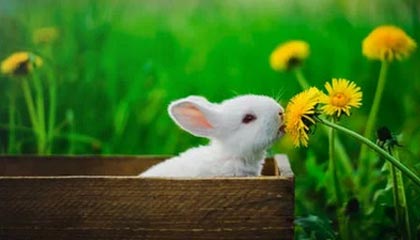 山东男篮社媒分享训练日常：今天也是大胆去冲的一天